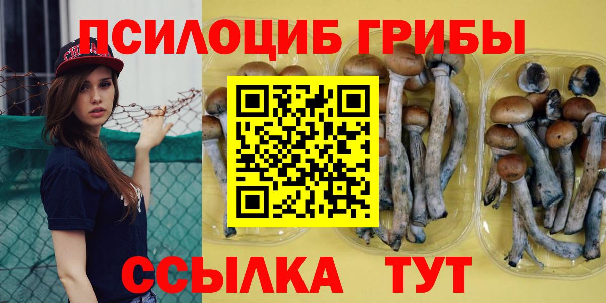 Озёрск  продажа наркотиков  Вход с VPN  Галлюциногенные грибы мицелий  Псилоцибиновые грибы ЛСД 